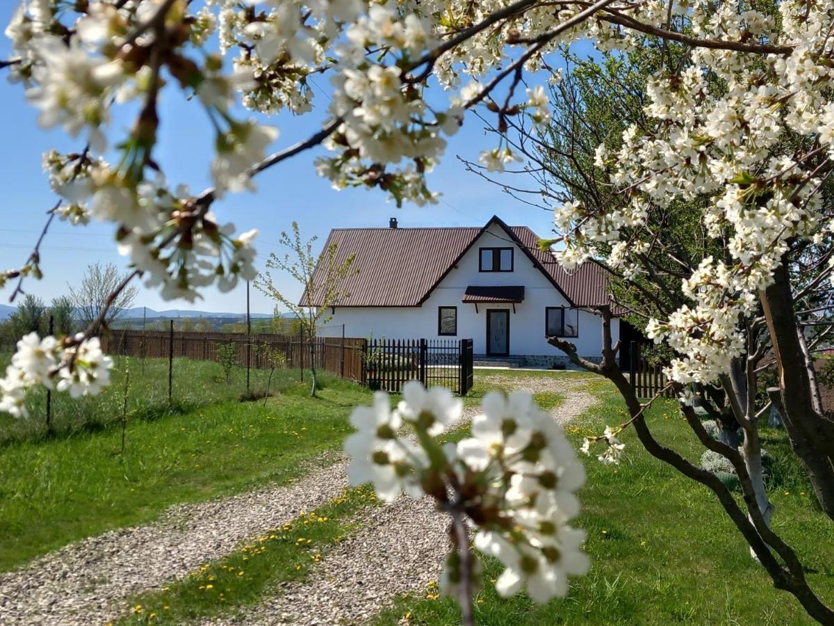Casuta Din Deal Târgu Neamţ Exterior foto